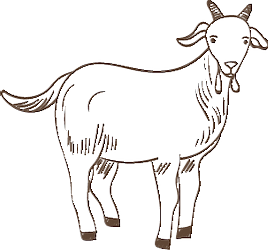 mpe